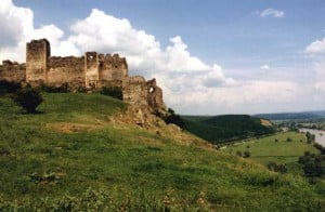 foraje puturi arad