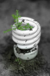 becuri economice casa